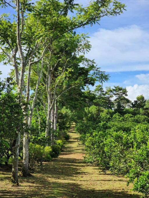 Hospedaje Finca Agroturistica Dona Rufa Rio Sereno Экстерьер фото