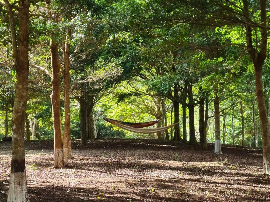 Hospedaje Finca Agroturistica Dona Rufa Rio Sereno Экстерьер фото