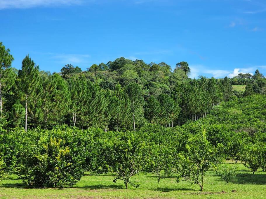 Hospedaje Finca Agroturistica Dona Rufa Rio Sereno Экстерьер фото