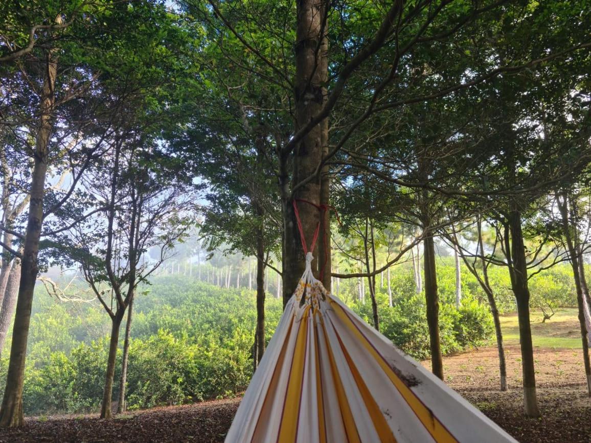 Hospedaje Finca Agroturistica Dona Rufa Rio Sereno Экстерьер фото